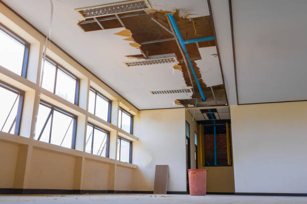 Best Ceiling water damage repair  in Chisholm, ME