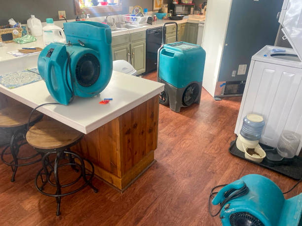 Best Basement water damage restoration  in Chisholm, ME