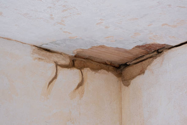 Best Water damage contractors near me  in Chisholm, ME