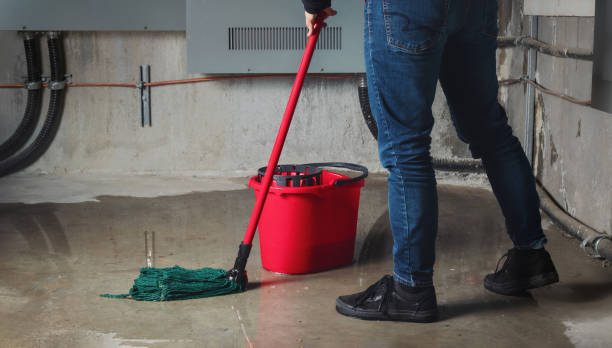 Best Local water damage restoration  in Chisholm, ME