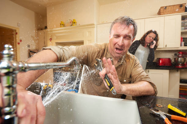 Best Professional water damage repair  in Chisholm, ME